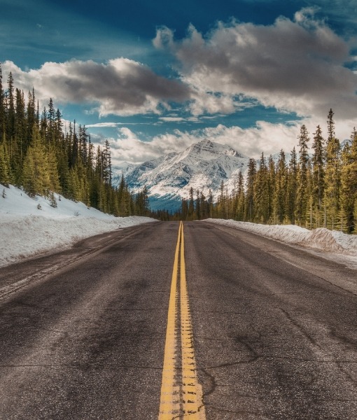 Scenic Road Trip
