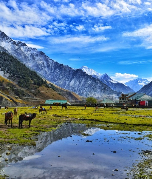 Hill Station Escapes